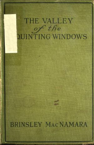 [Gutenberg 61102] • The Valley of Squinting Windows